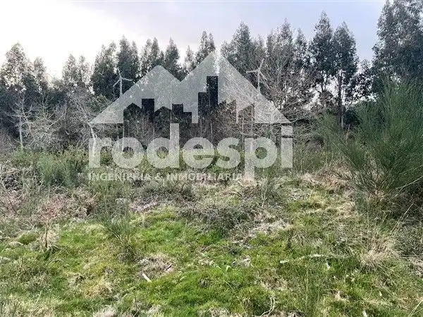 Terreny rústic en venda a A Cañiza, imagen 4