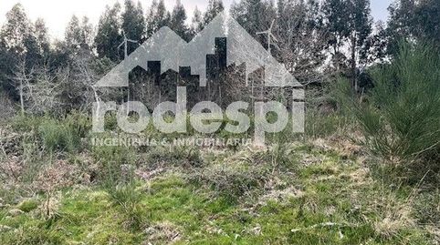 A Cañiza, immagine 4