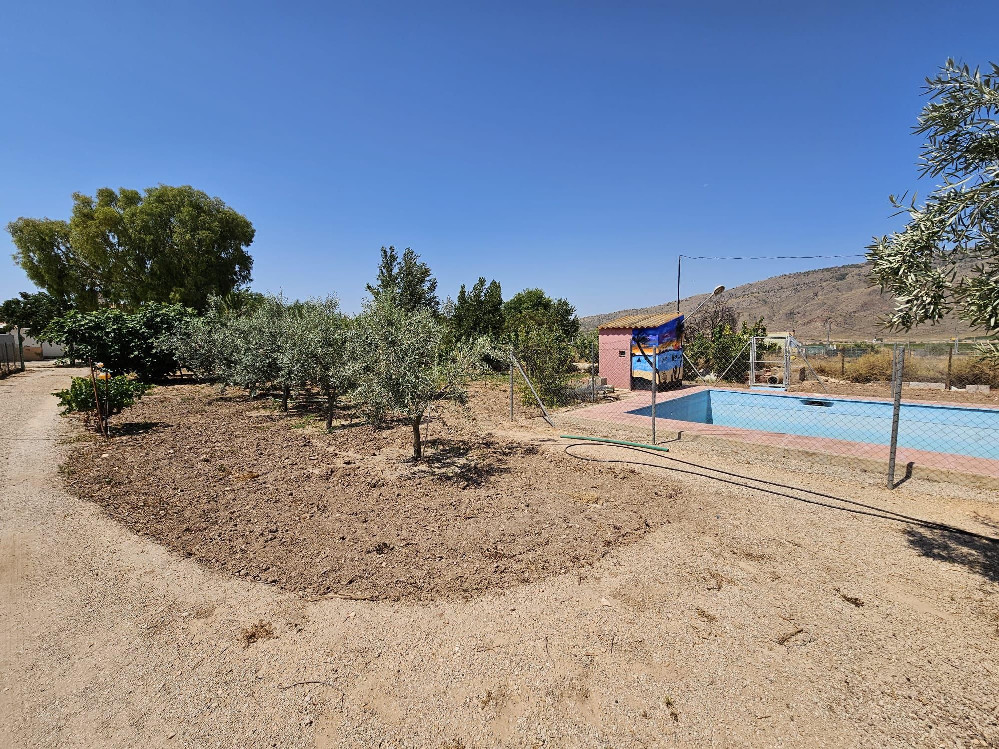 Jardí de Finca rústica en venda en Jumilla amb Aire condicionat, Calefacció i Jardí privat