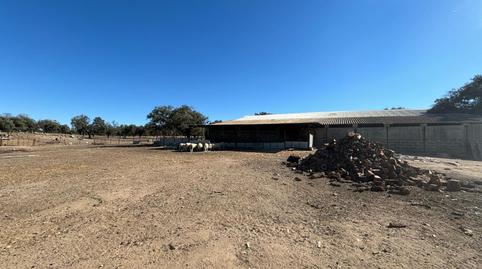 Photo 5 of Land for sale in Pozoblanco, Córdoba