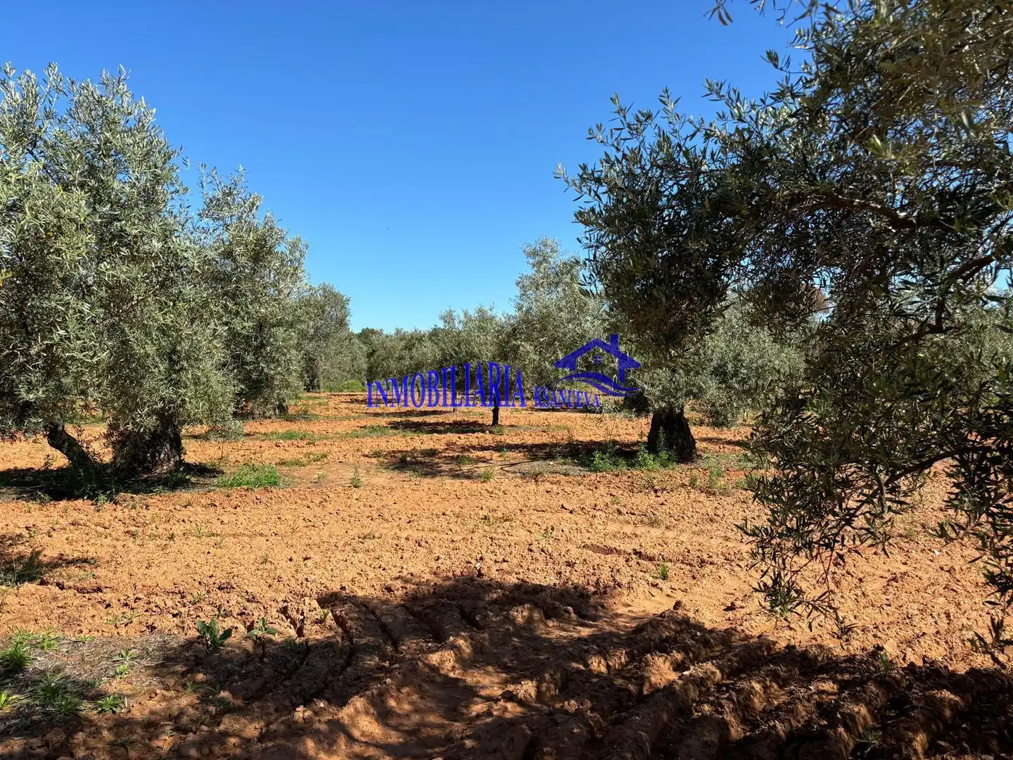 Casa rústica en venta en Montoro, imagen 23