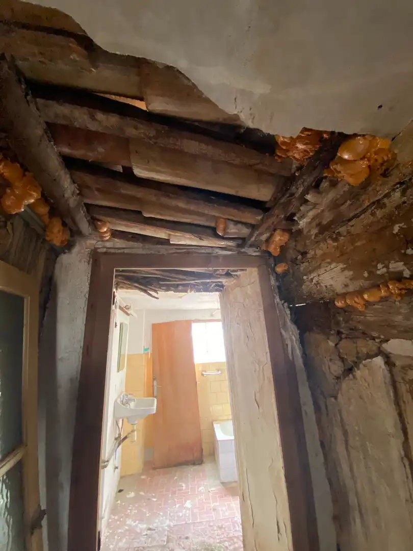 Casa o xalet en venda en Organyà amb Terrassa, Traster i Balcó
