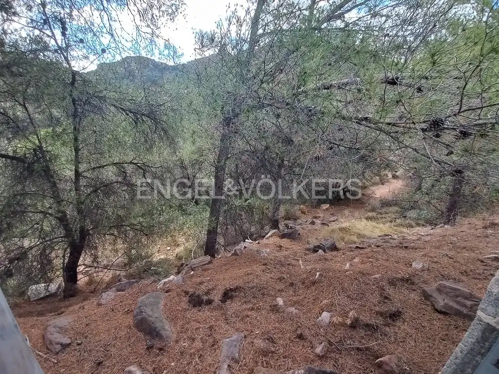 Lands and plots for sale in Serra, imagen 19