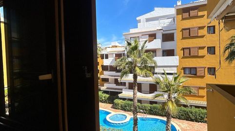 Photo 4 of Apartments for rent in Punta Prima, Torrevieja