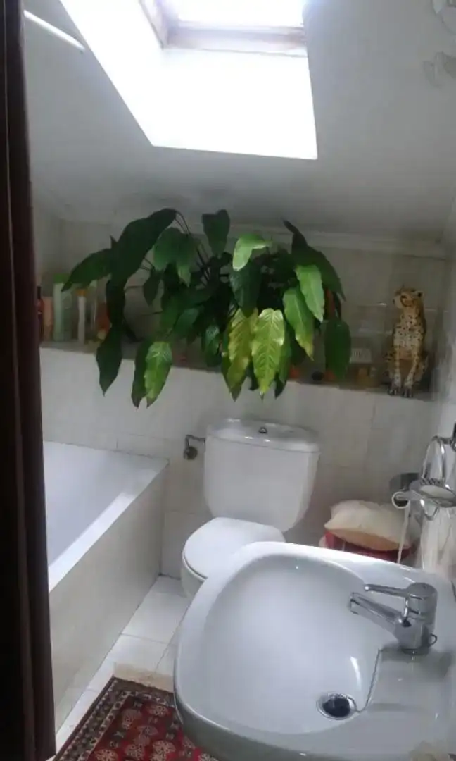 Bany de Casa o xalet en venda en Alegría-Dulantzi amb Balcó