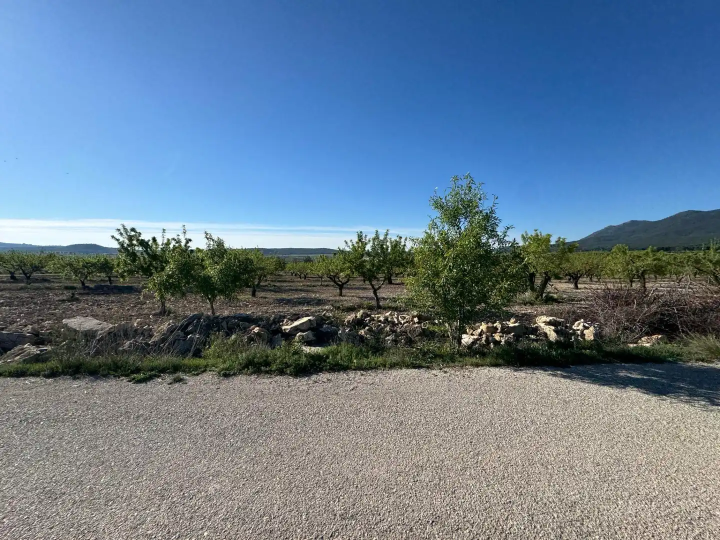 Casa con jardín en venta en Moratalla, imagen 19