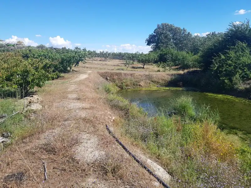 Chalet en venta en Torremenga, imagen 22