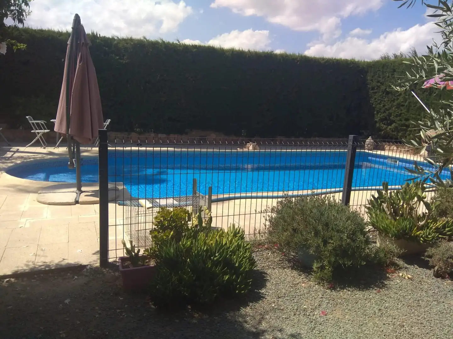Swimming pool of Country homes for sale in Lorca