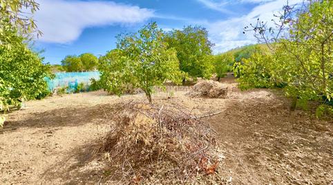 Foto 4 de Casa o xalet en venda a Valdeavero, Madrid