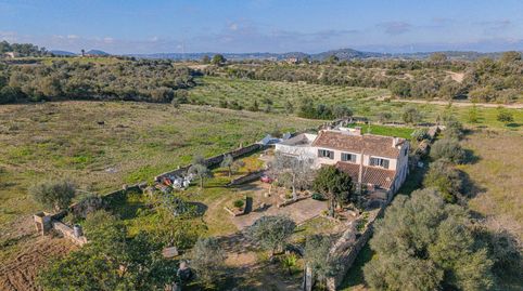 Foto 4 de Finca rústica en venda a Polígono Polígono 11 Parcela 21, Sineu, Illes Balears