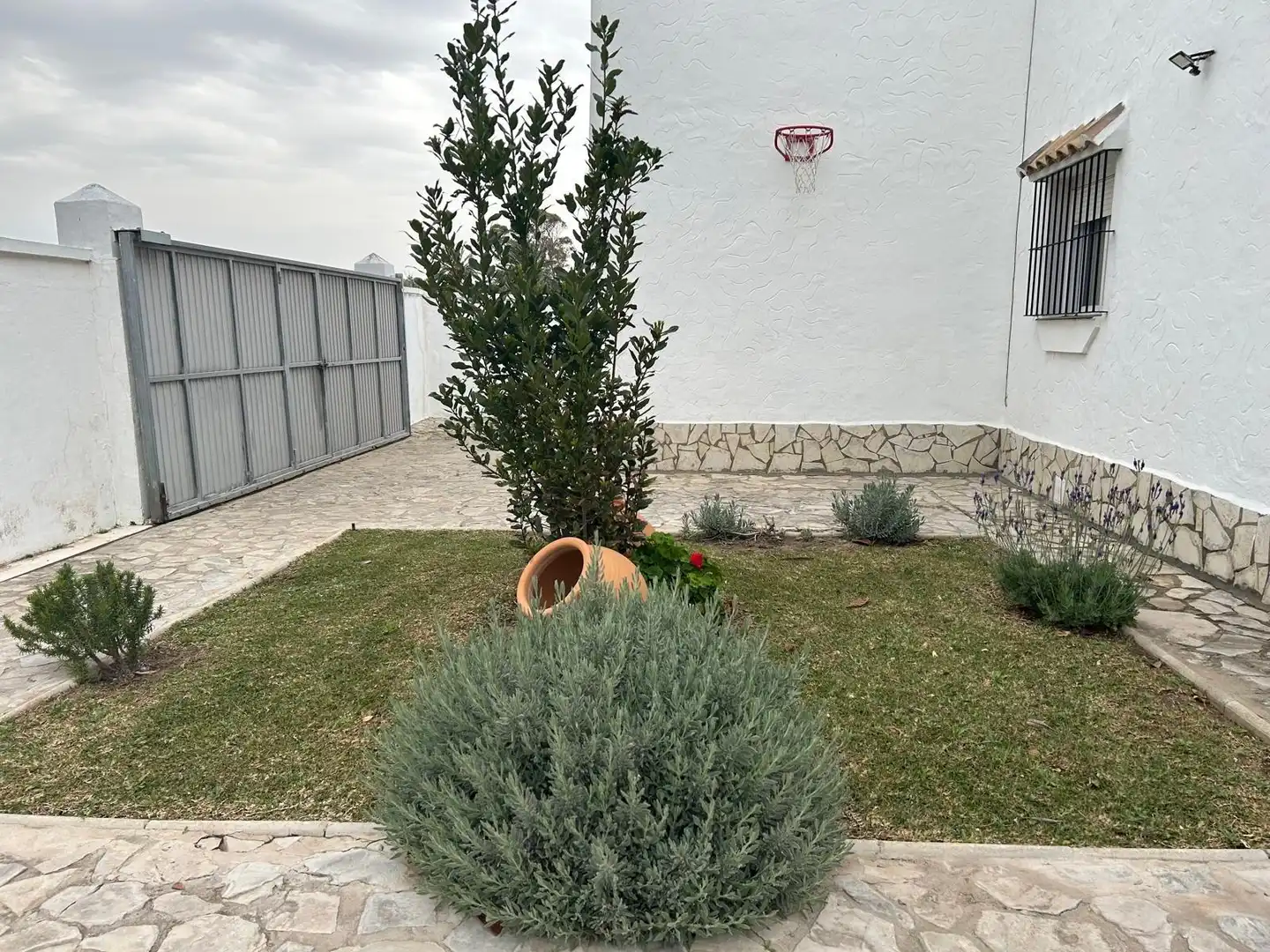 Jardí de Finca rústica en venda en Barbate amb Jardí privat, Terrassa i Traster