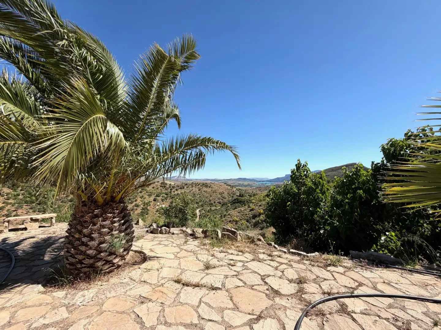 Vista exterior de Finca rústica en venta en Ardales con Jardín privado, Terraza y Piscina