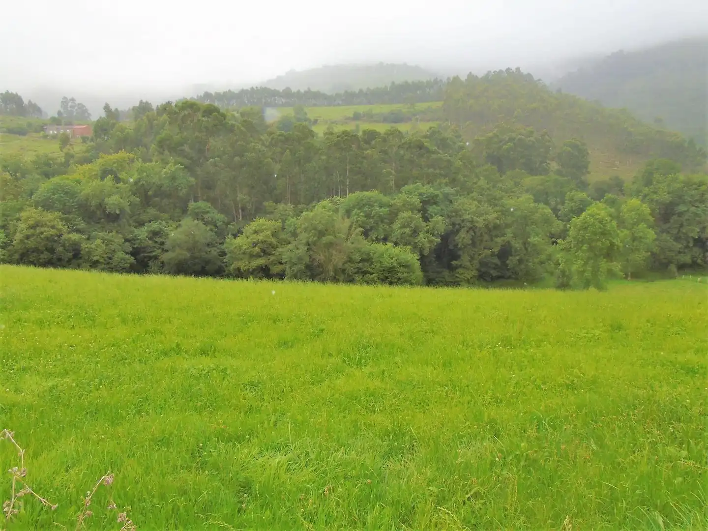 Terreno residencial en venta en Solórzano, imagen 11