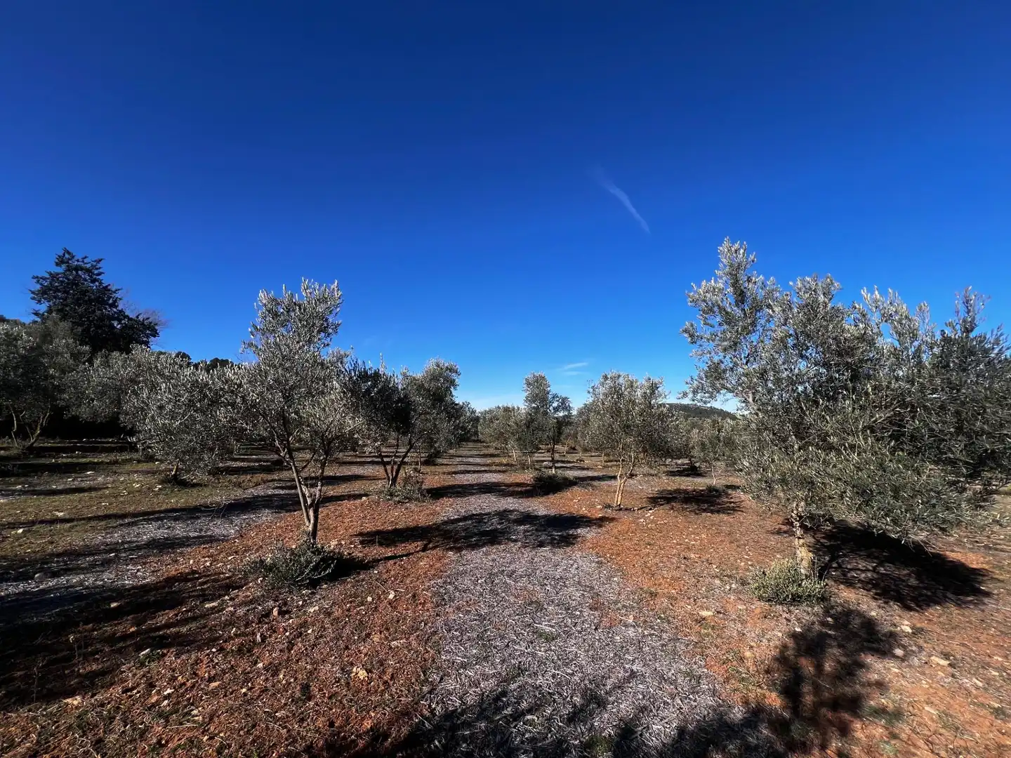 Finca rústica en venta en Bocairent con Jardín privado, Terraza y Trastero