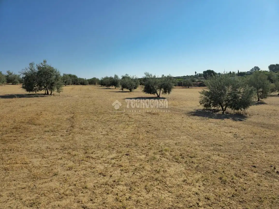 Rural land for sale in Arahal, imagen 6