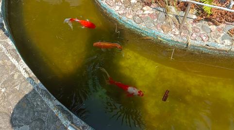 Foto 4 de Casa o xalet en venda a Área Rural, A Coruña