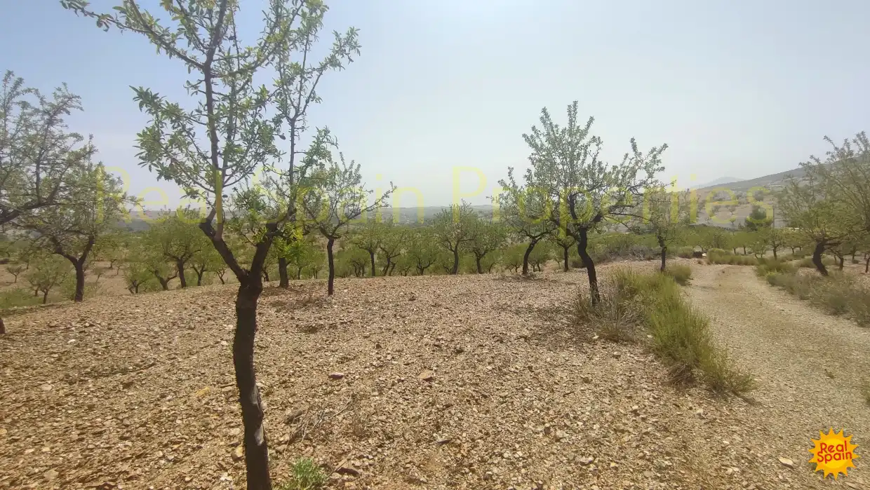 Residential land for sale in Vélez-Rubio, imagen 6