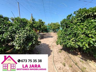 Terrenos y solares en venta en Vereda del Chapitel