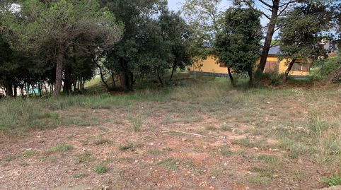 Terreno urbanizable en Seva, imatge 2