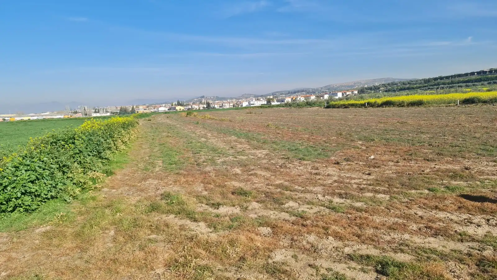 Rustikales Grundstück zum Verkauf in Avenida de Cartuja