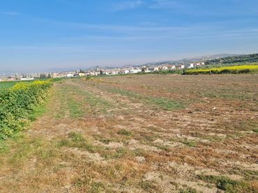 Terreno rustico in vendita a Avenida de Cartuja