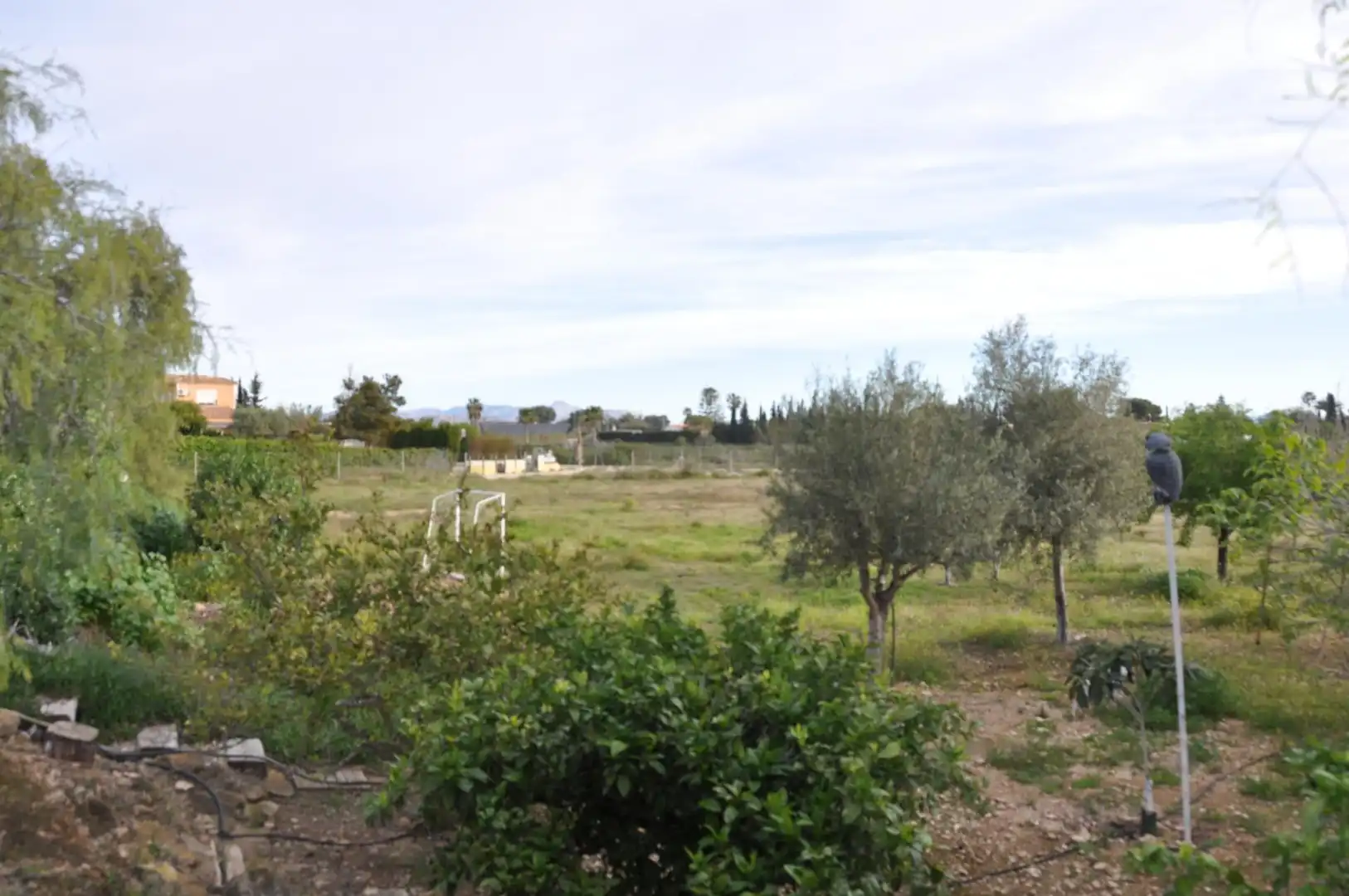 Villa con terrazza in vendita a Perleta - Maitino, imagen 15