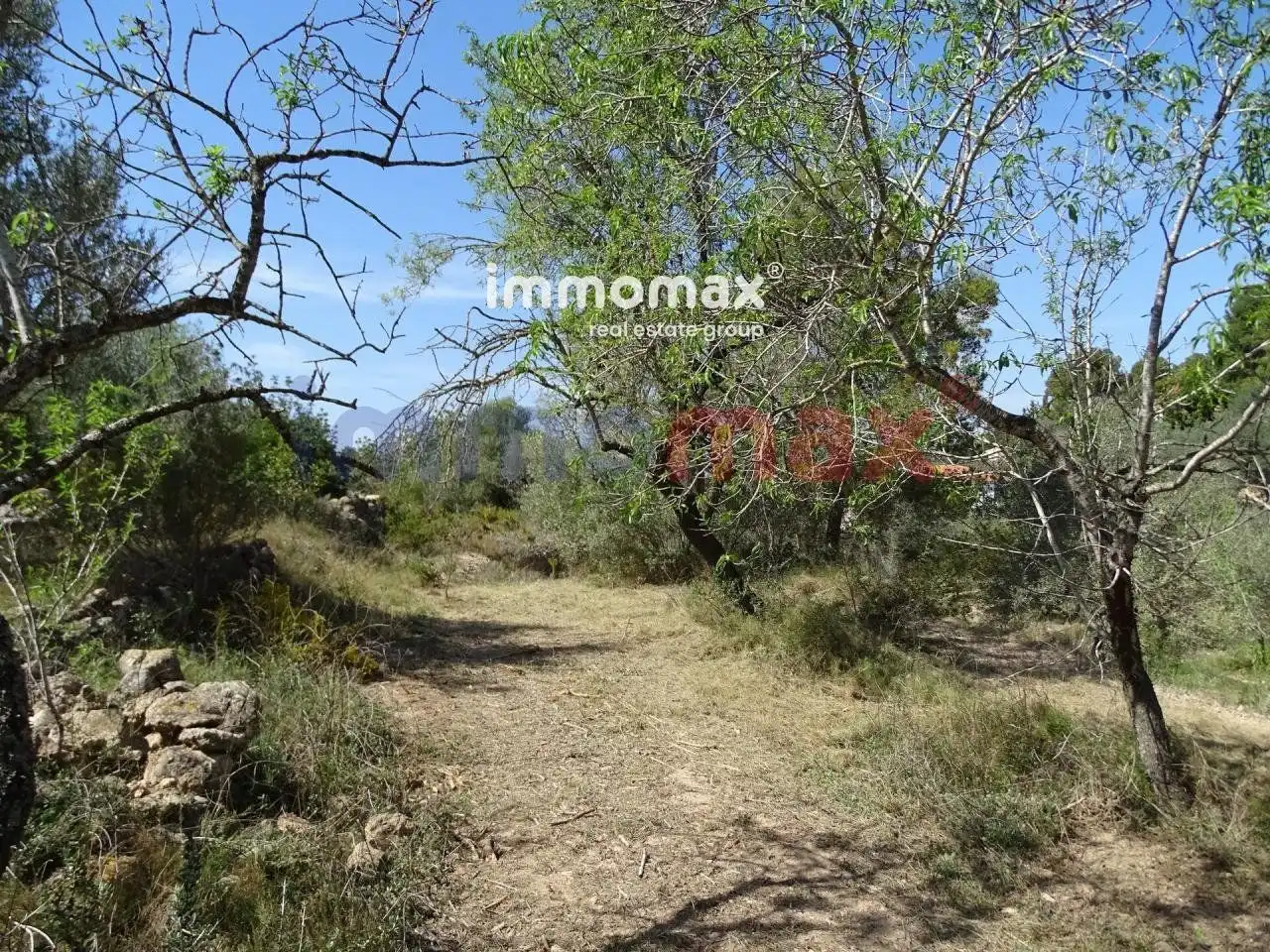 Terrenos y solares en venta en 63, imagen 6