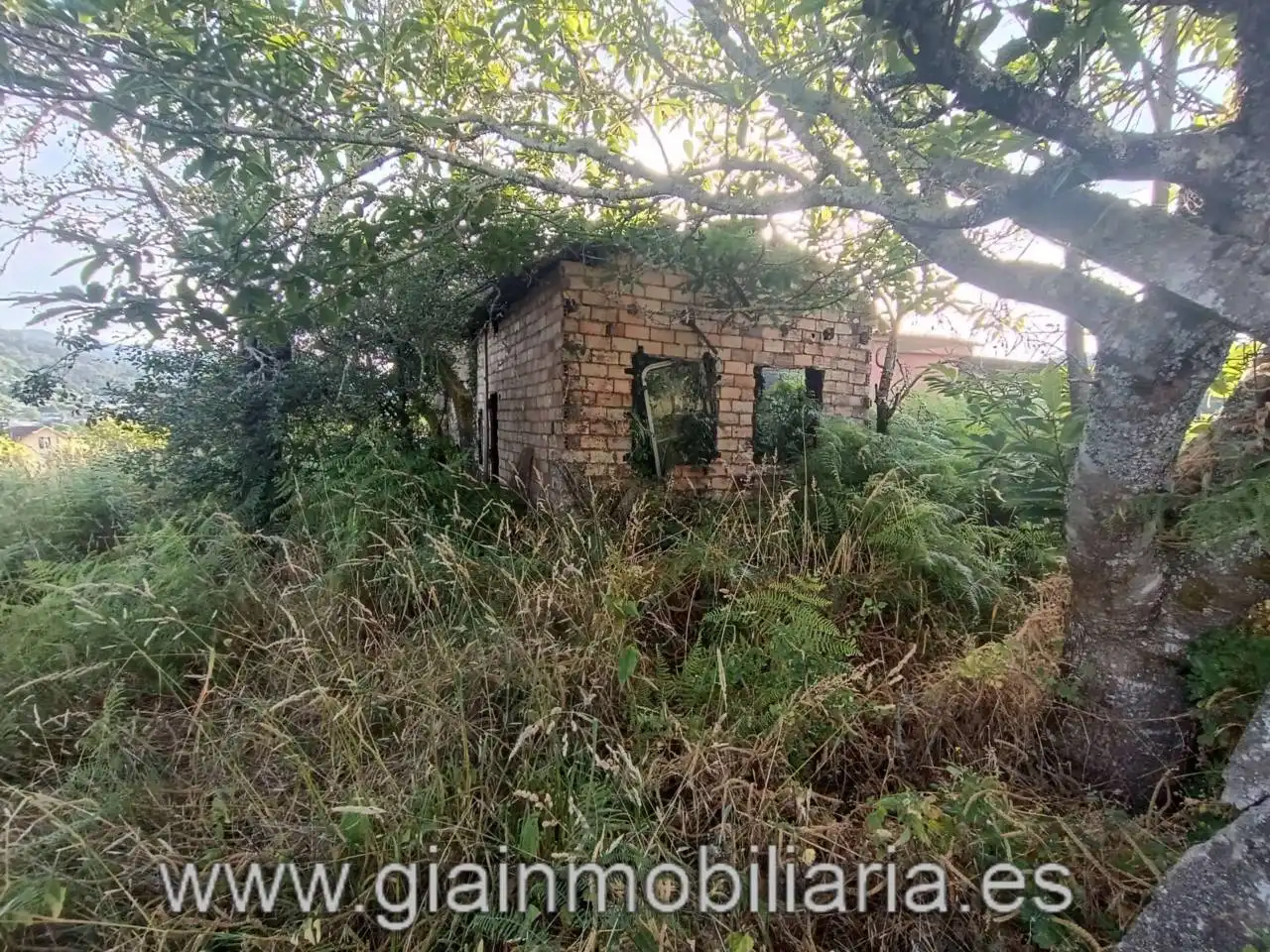 Casa en venta en Calle Ceo, imagen 6