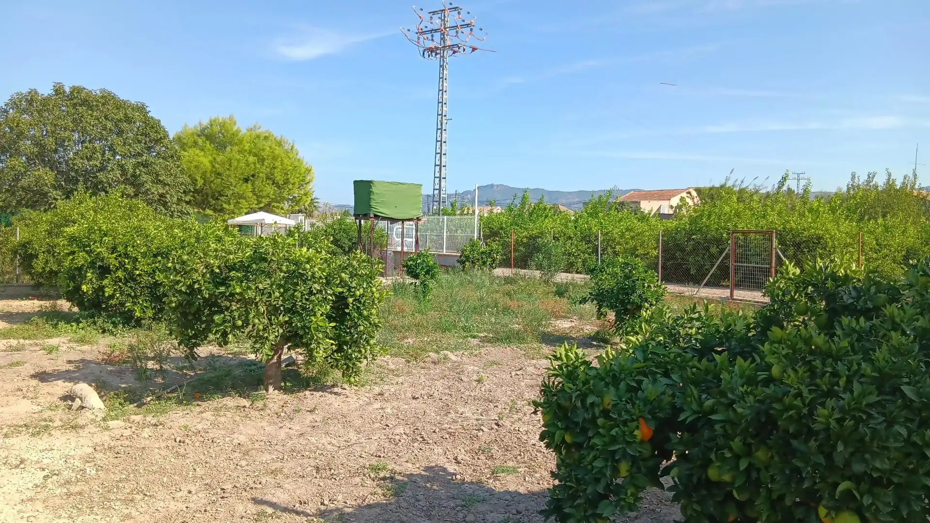 Terreny rústic en venda a Pedanías Oeste