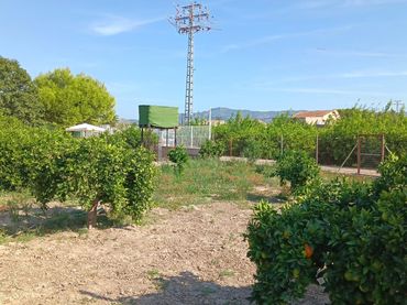 Terreno rustico in vendita a Pedanías Oeste