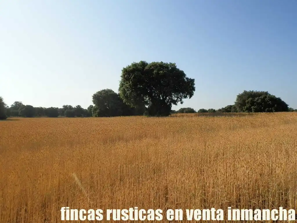 Terreno en venta en Alcaraz