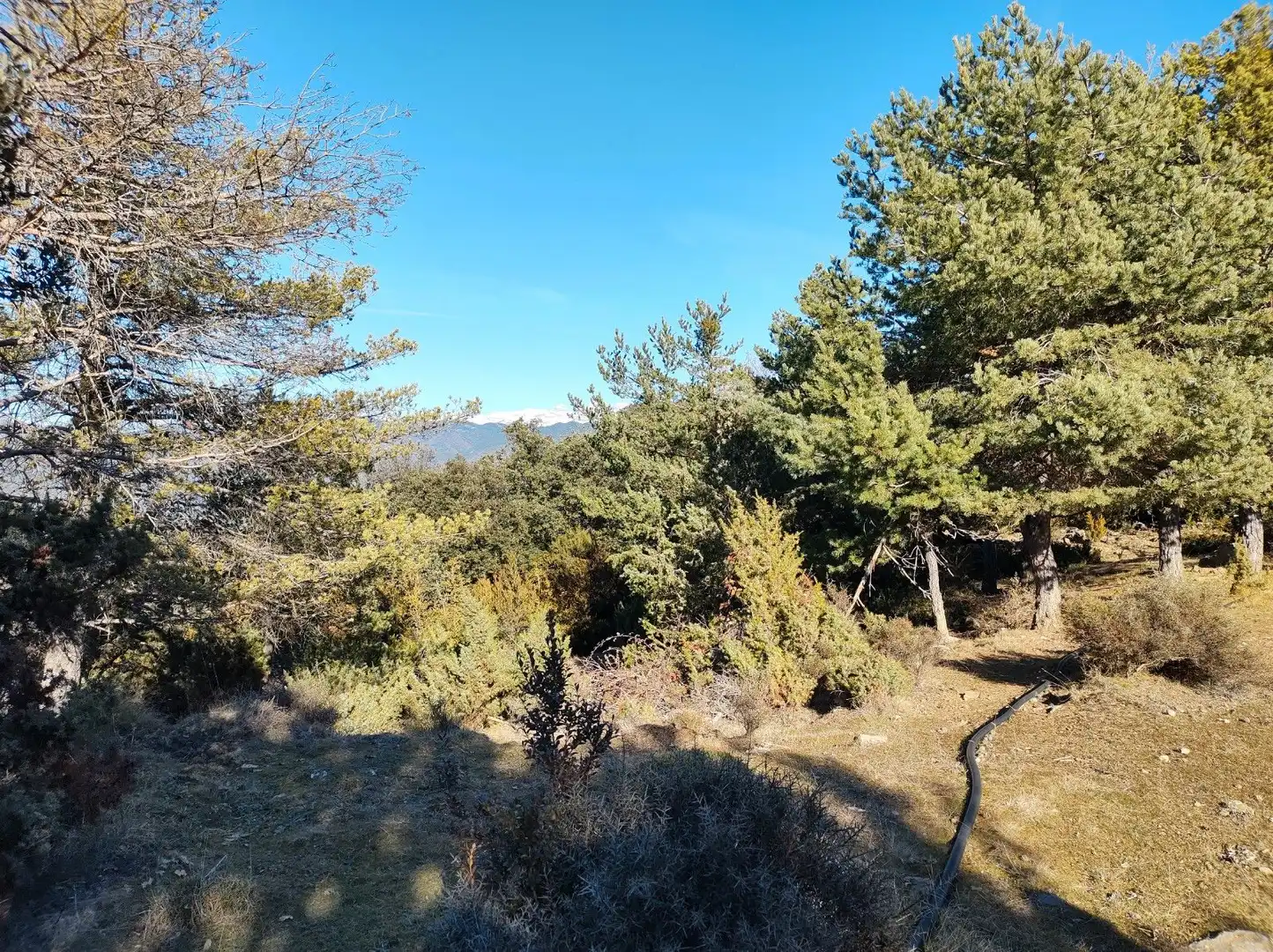 Casa o chalet en venta en San Miguel del Cinca