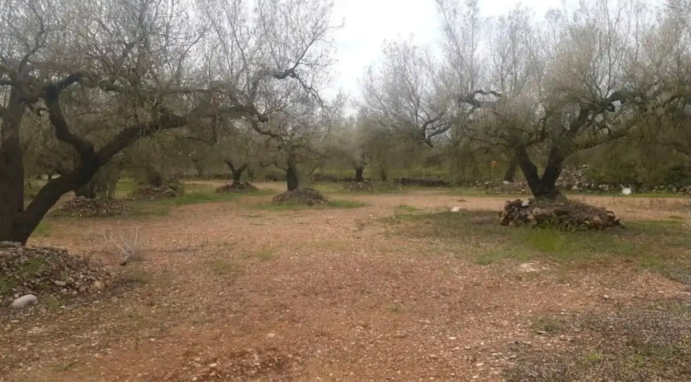 Rustikales Grundstück zum Verkauf in Ulldecona, imagen 3
