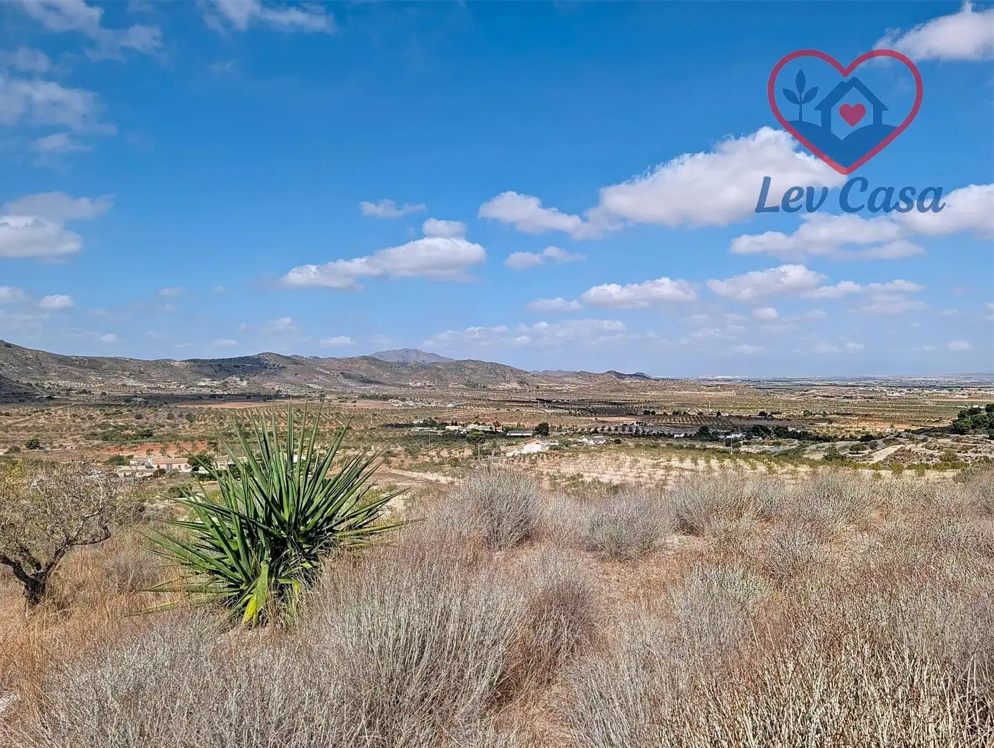 Terreno rustico in vendita a Playa del Galán, imagen 6