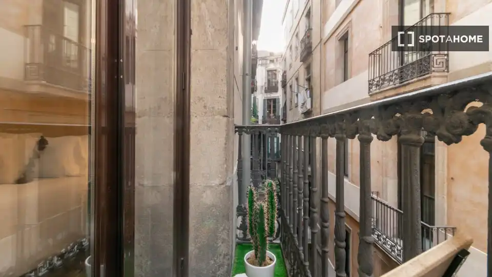 Flat with terrace to rent in Ciutat Vella, imagen 9