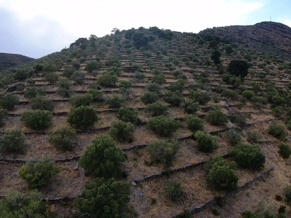 Lands and plots for sale in Territorio Surés, imagen 5