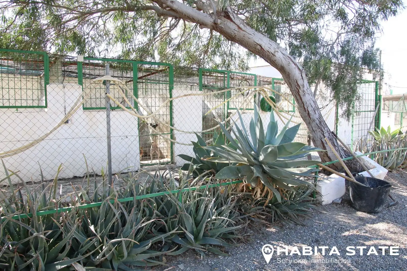 Garden of Residential for sale in Pechina
