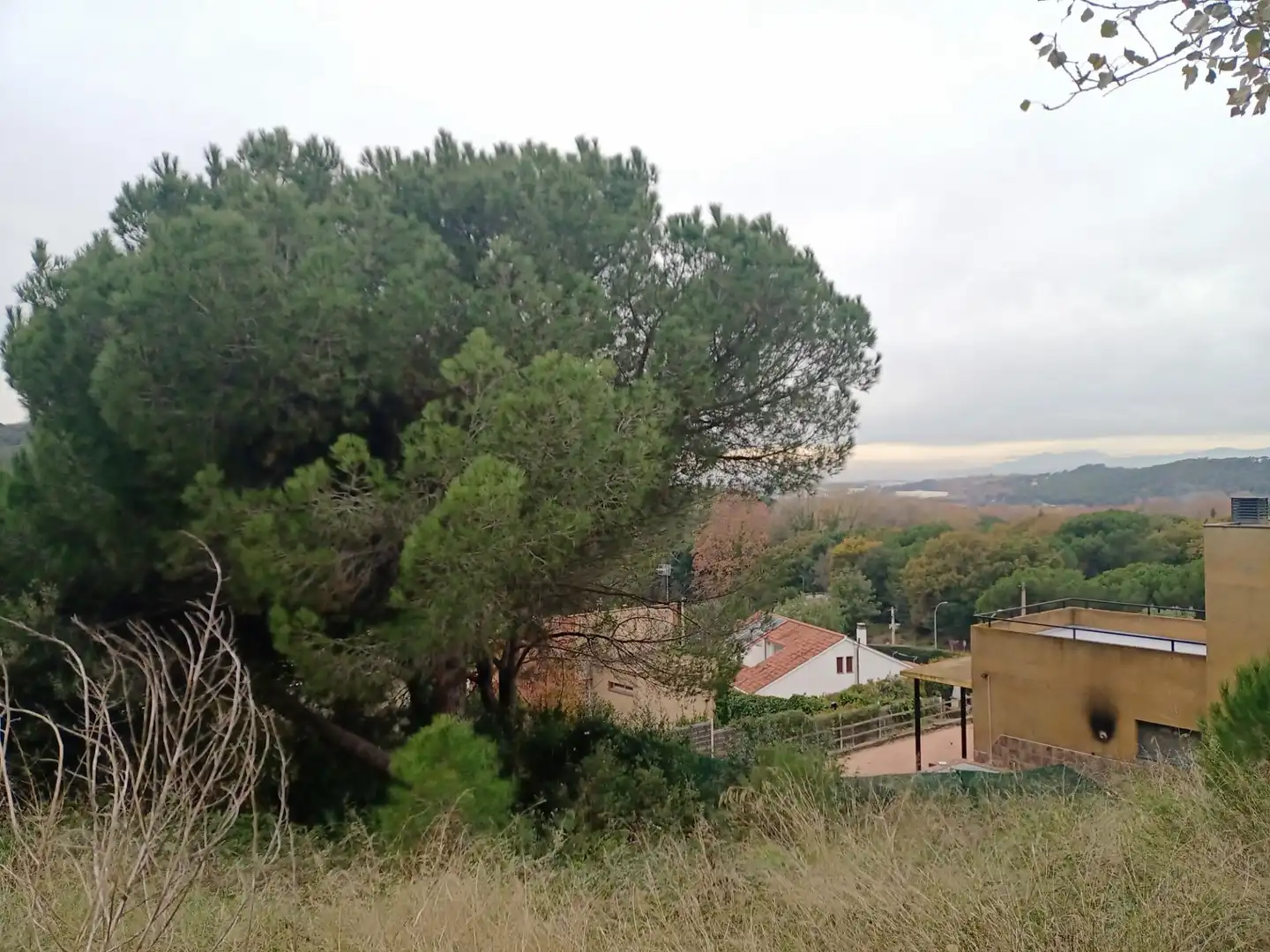 Terrenos y solares en venta en Carrer SALVIA, imagen 3