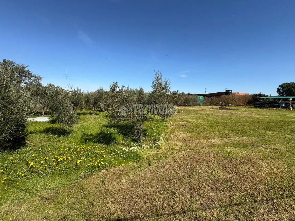 Country homes for sale in Badajoz  with Private garden and Terrace