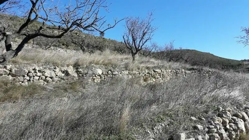 Land for sale in Tírig