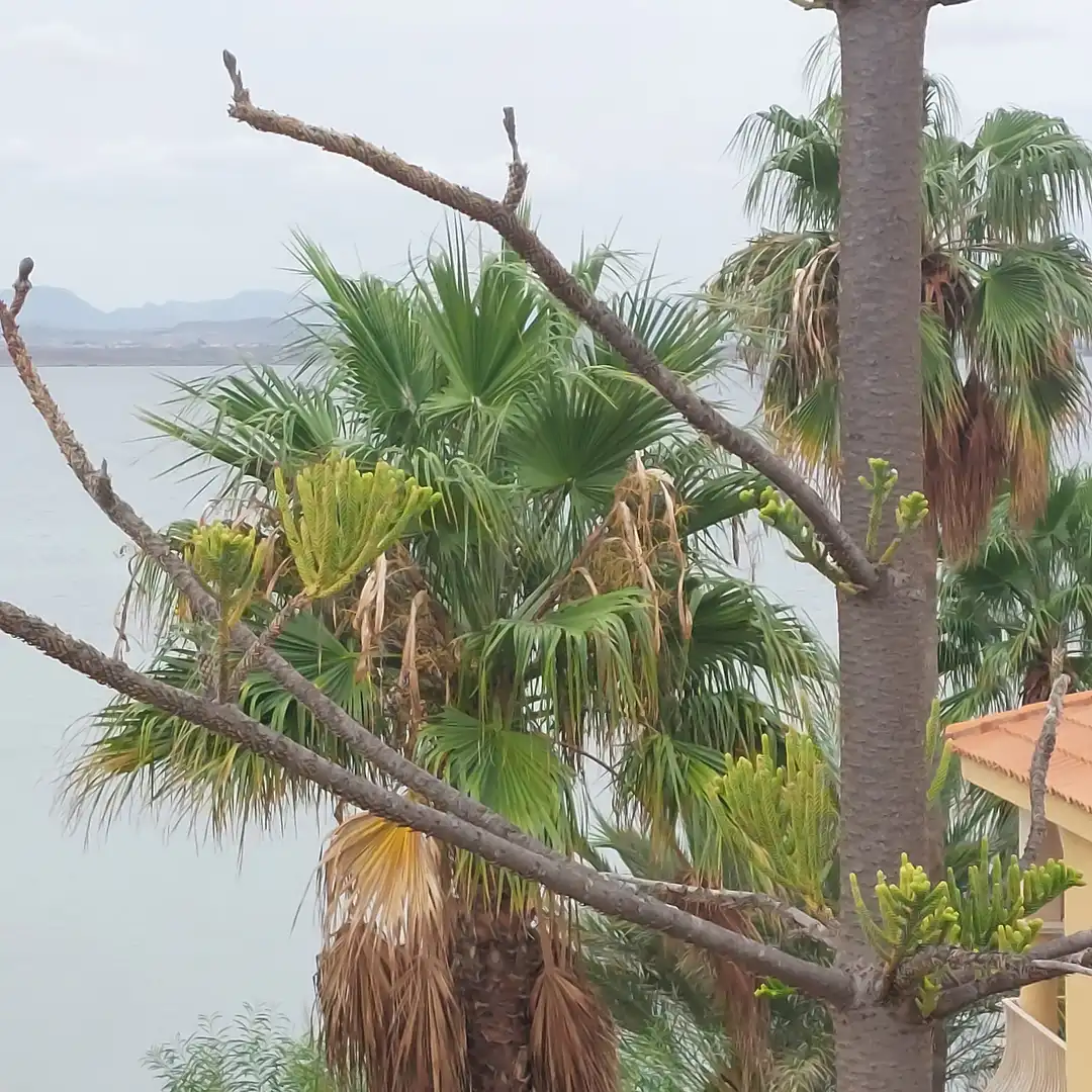 Casa o chalet en venta en Polígono Y, 6, Playa del Galán