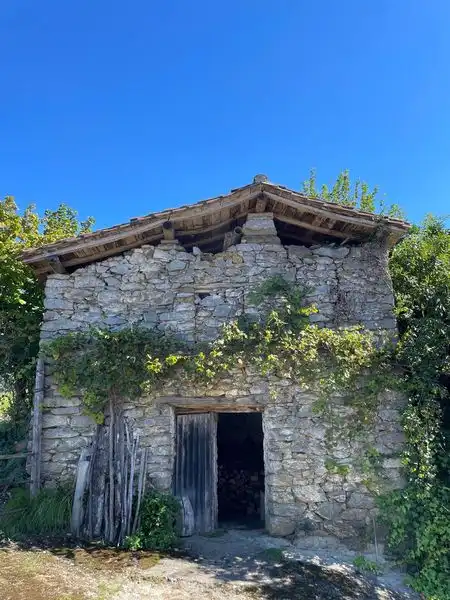 Exterior view of Country homes for sale in Altzo