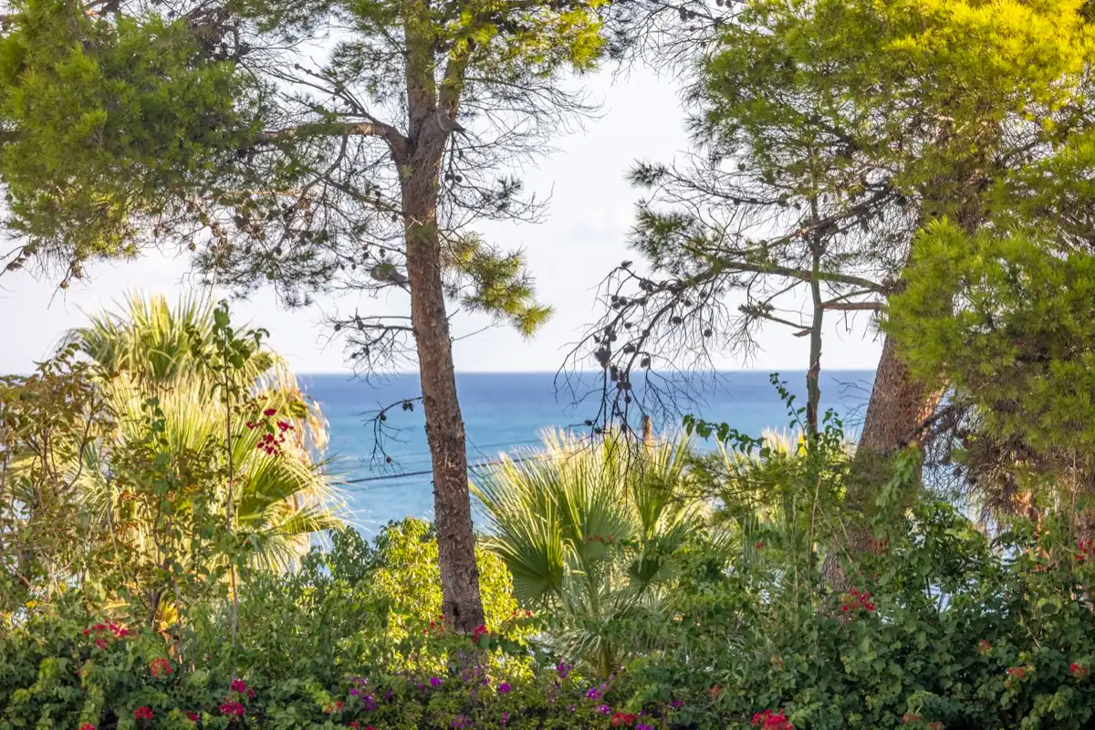 Garden of Apartments for sale in Dénia  with Air Conditioner and Community pool