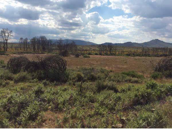 Terreno en Venta en Parcelas Castrocontrigo, 43 en Castrocontrigo