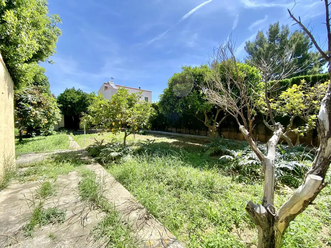 Garten von Haus oder Chalet zum Verkauf in  Palma de Mallorca mit Privatgarten, Terrasse und Abstellraum