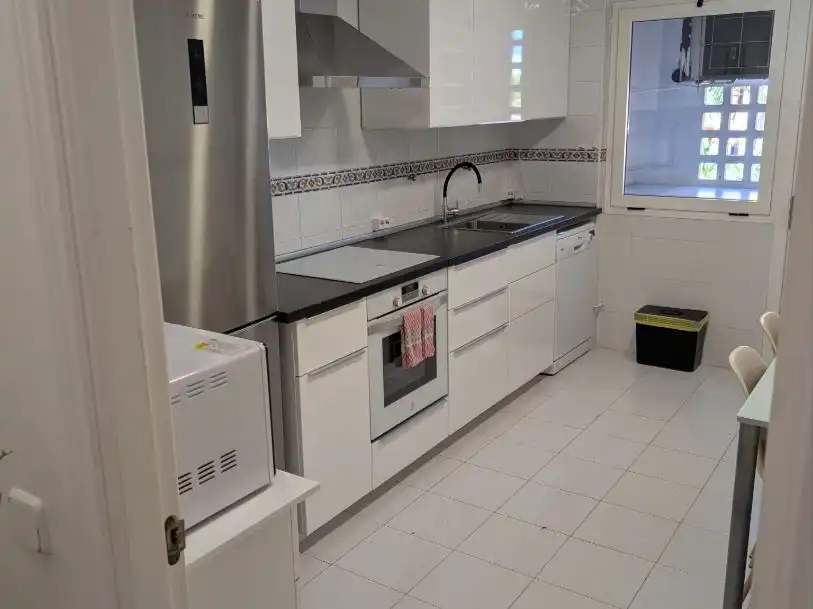 Cuina de Pis de lloguer en San Pedro de Alcántara