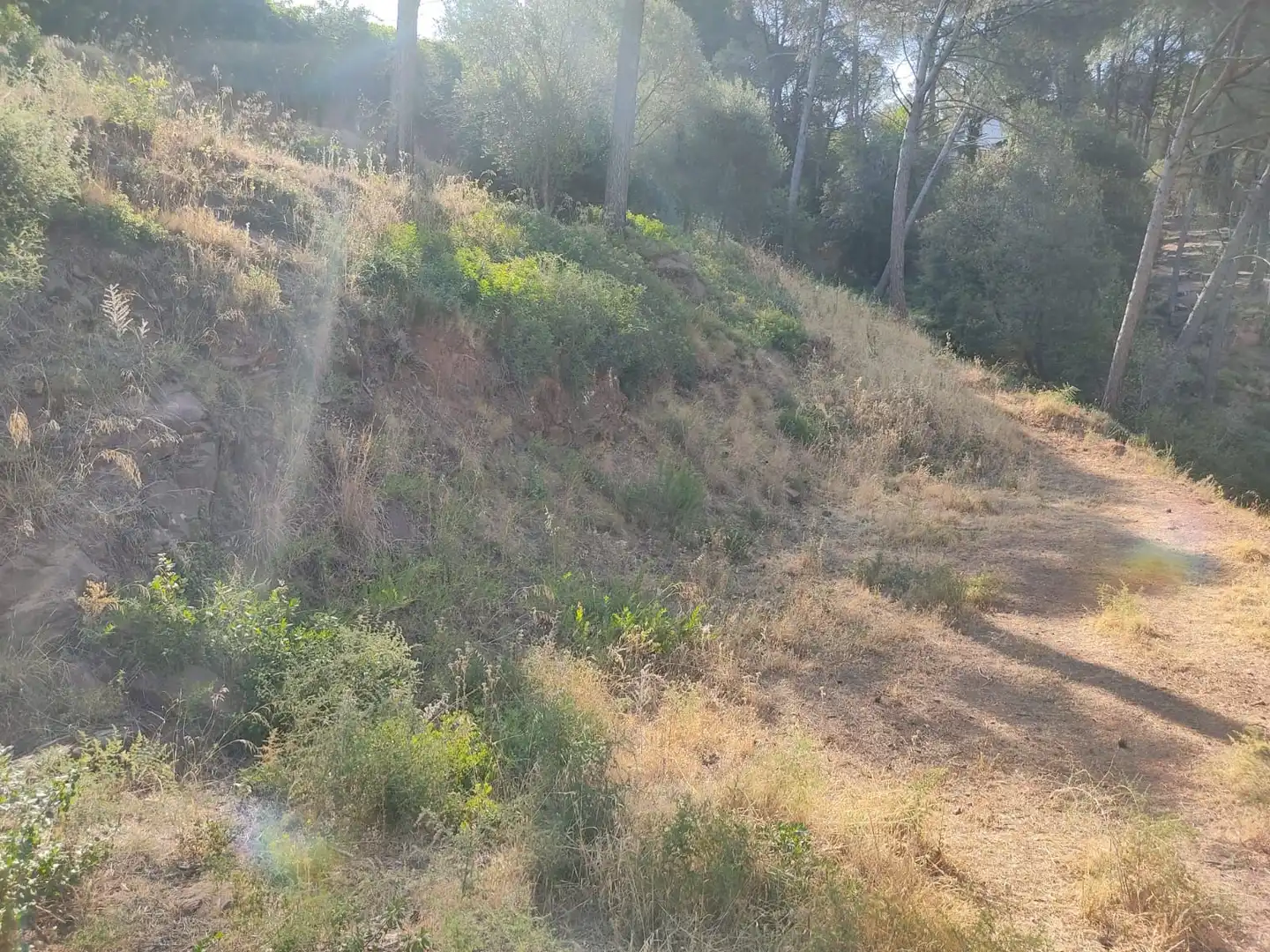 Residential for sale in Castellví de Rosanes