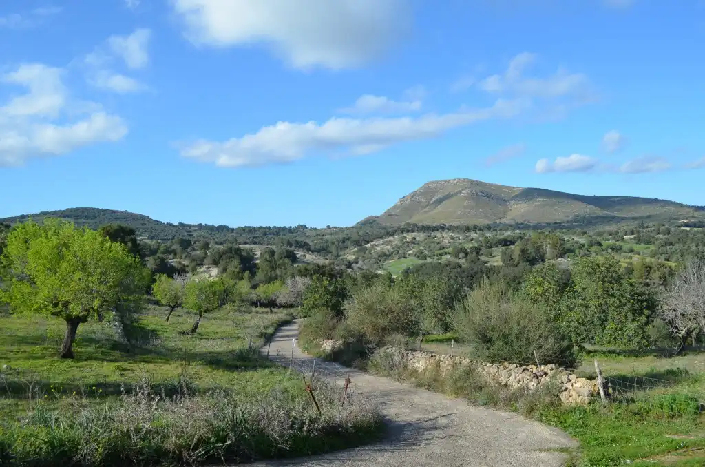 Country house for sale in Sant Llorenç des Cardassar, imagen 24