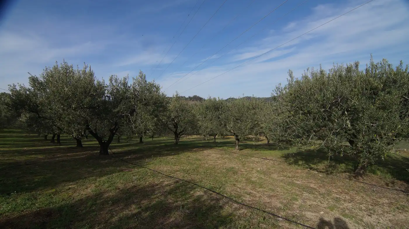 Country homes for sale in Falset  with Private garden