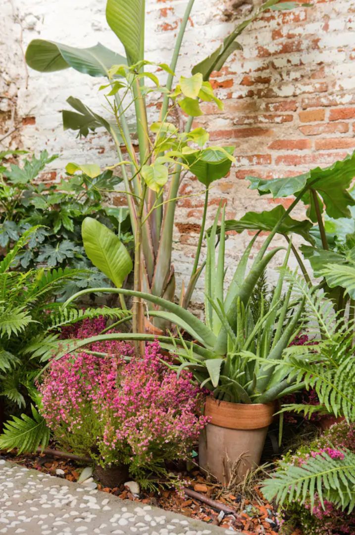 Garden of Loft for sale in  Barcelona Capital  with Air Conditioner, Heating and Private garden